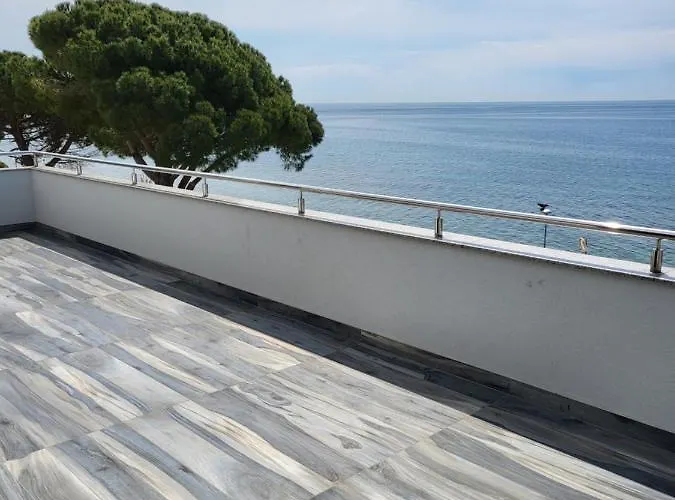 Alen * Umag